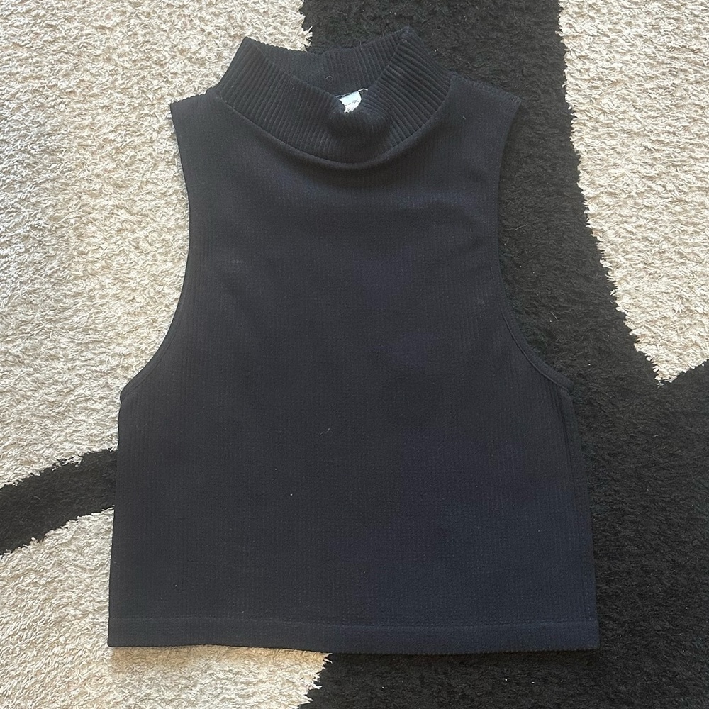 Zara Cropped Turtleneck